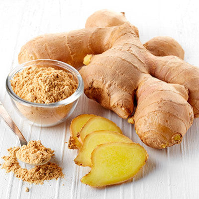 Thé Gingembre, Miel & Moringa