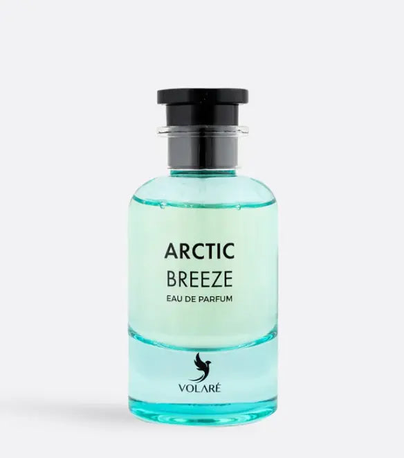 Brisa Ártica 100 ml - Perfume Volare