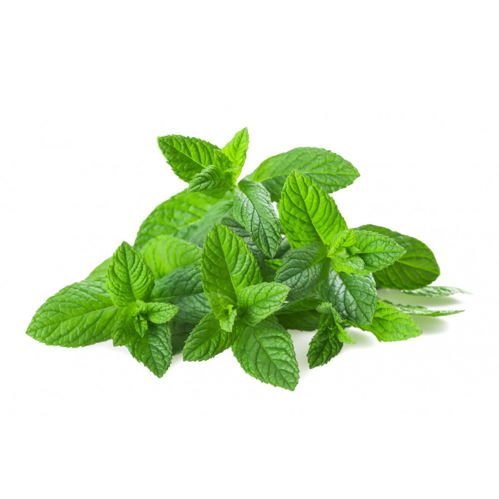 Tisane Gingembre miel bissap menthe 250 Gr