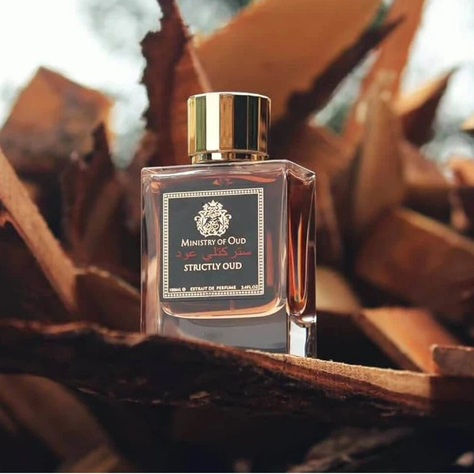la bottiglia di estratto di profumo Strictly Oud da 100 ml – Il Ministero dell'Oud all'ingrosso è in piedi sulle rocce
